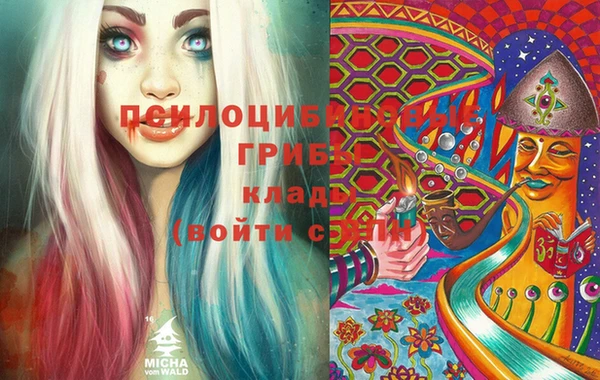эйфоретик Алексин