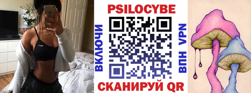 кракен ONION  Андреаполь  Псилоцибиновые грибы Magic Shrooms  купить  